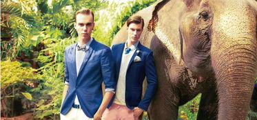 馬克華菲有幾個(gè)系列